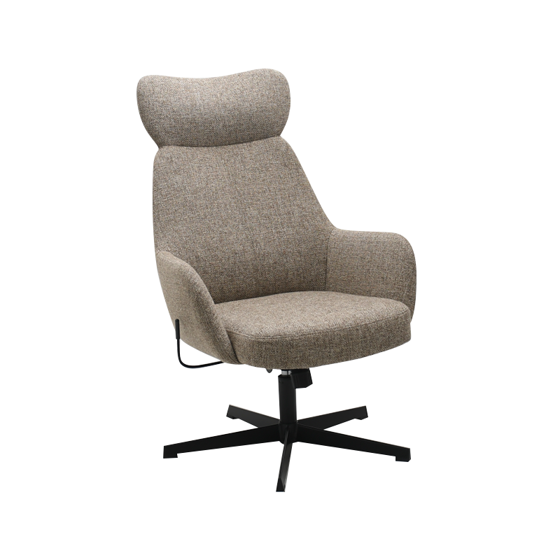 Dnevna soba Leisure Lounge Stolica 